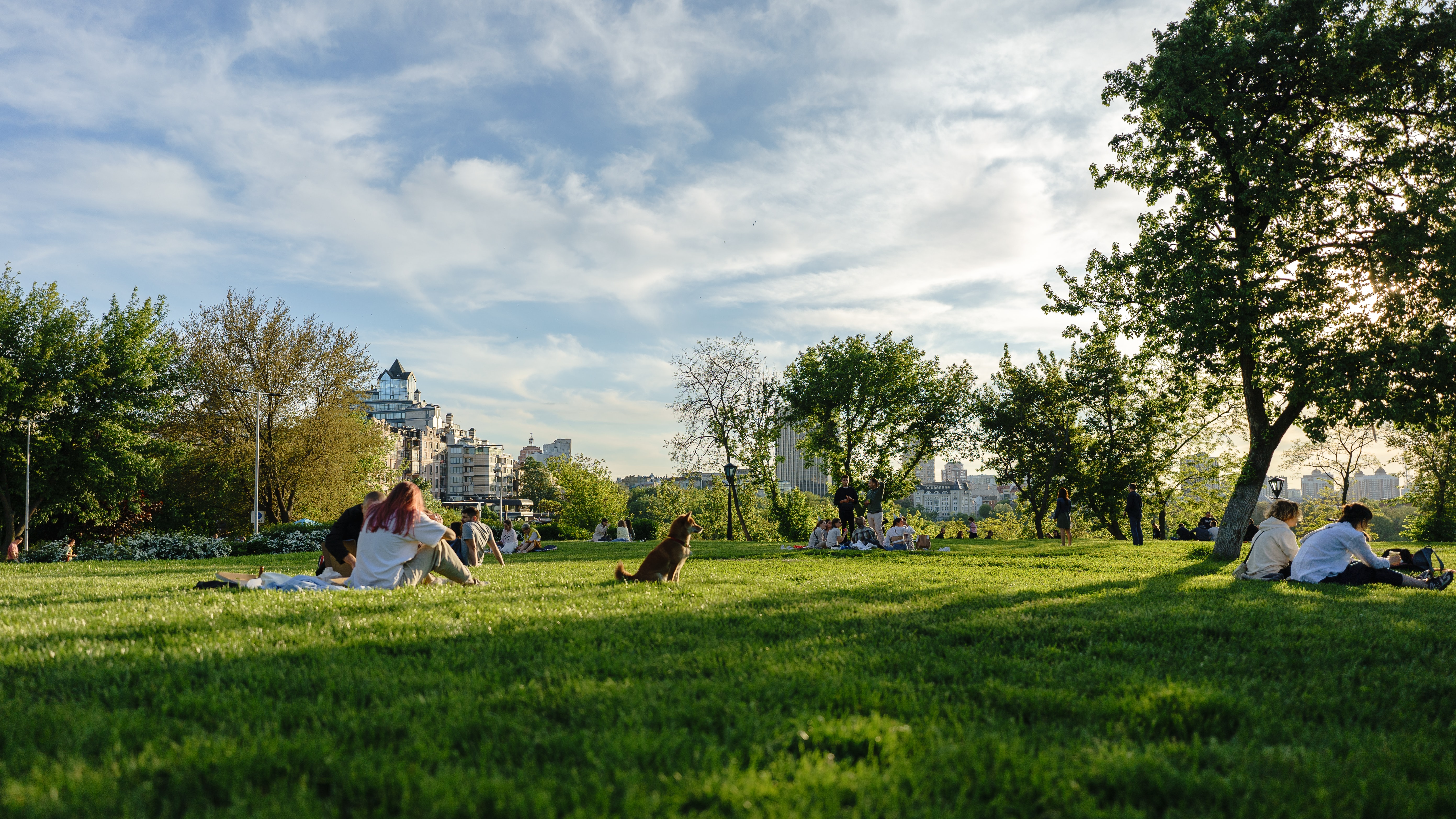 People in the park